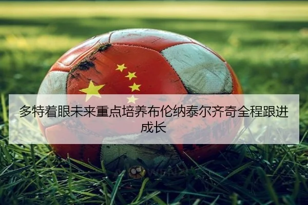 多特着眼未来重点培养布伦纳泰尔齐奇全程跟进成长